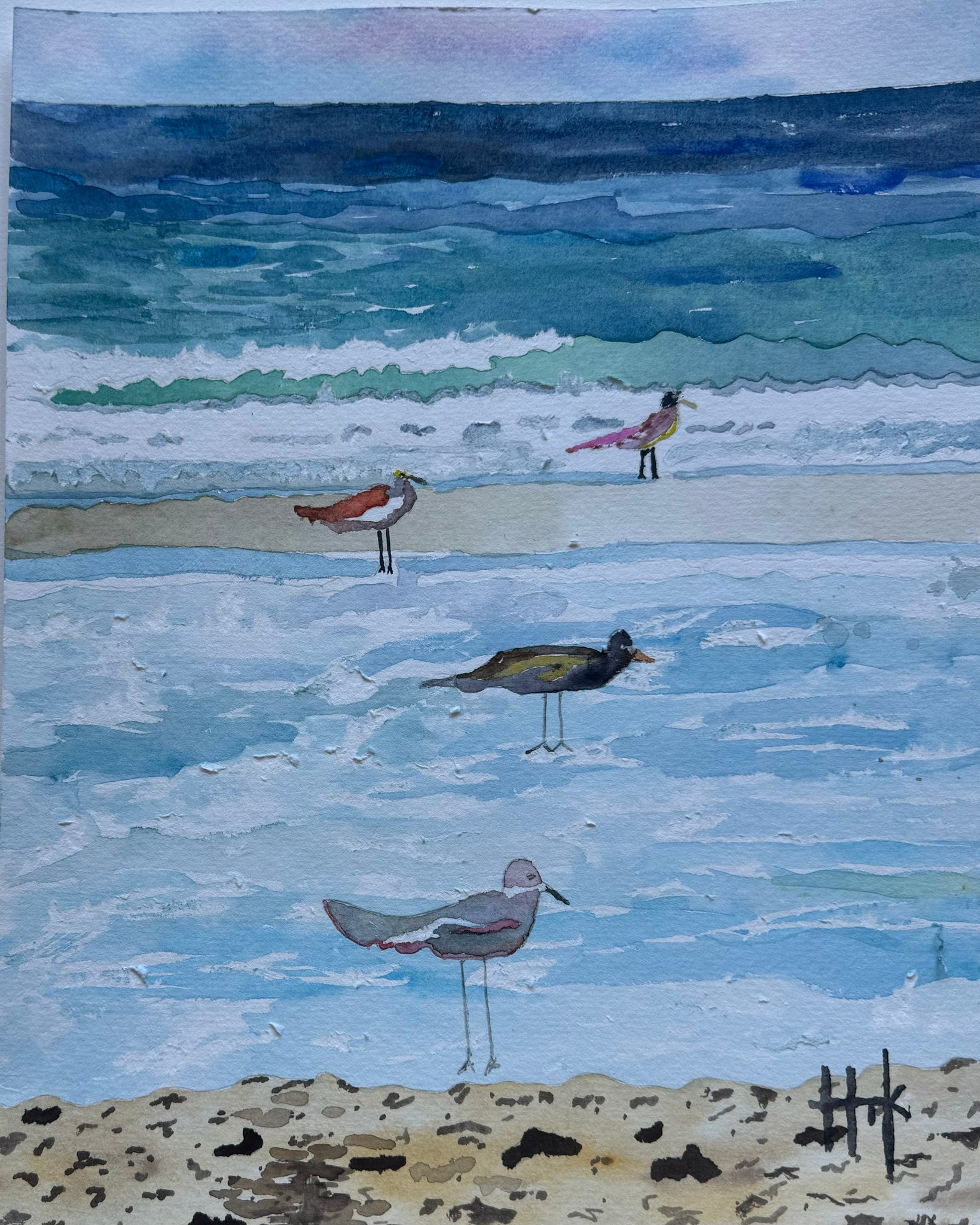 SEAGULLS LINE THE BEACH