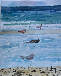 SEAGULLS LINE THE BEACH