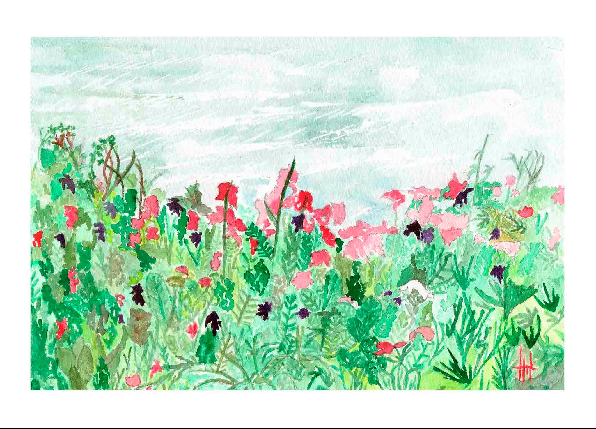 FIELD OF FLOWERS - CARDS
