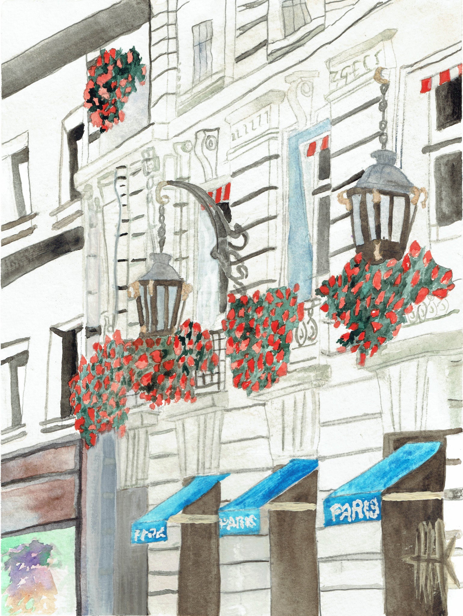 HANGING FLOWERS OF PARIS - PRINT
